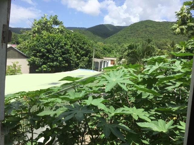 Habitation Baliache - Maison Creole Avec Jardin Privatif, Plage A 200M デエエ エクステリア 写真